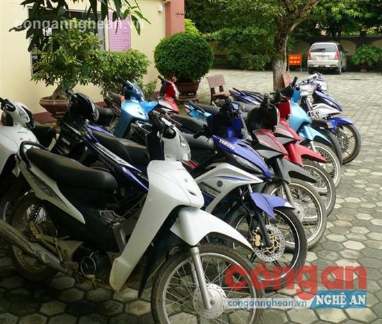 Tang vật bị thu giữ