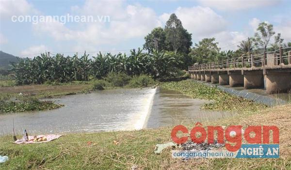 Đập tràn xóm 7, nơi 3 học sinh Trường Tiểu học Quỳnh Lâm A, huyện Quỳnh Lưu bị đuối nước, dẫn đến tử vong