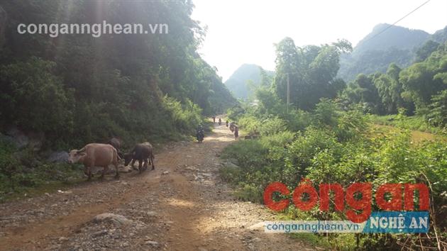 Xây dựng đường giao thông là một trong những khó khăn của các xã miền núi