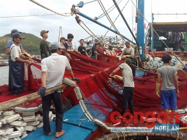 Hướng đi cho ngành công nghiệp chế biến nông, lâm, thủy sản