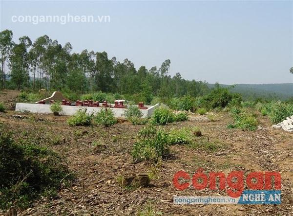 Việc di dời mồ mả của người dân ở các xóm Đồng Minh, Tân Minh vẫn chưa được thực hiện