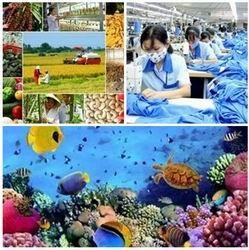 Chỉ đạo, điều hành của Chính phủ, Thủ tướng Chính phủ nổi bật tuần