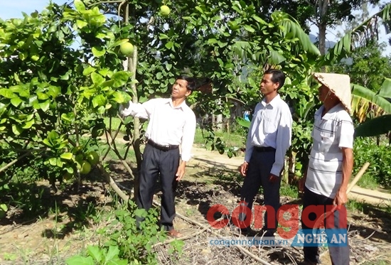 Tháo gỡ khó khăn để nâng cao hiệu quả kinh tế tập thể