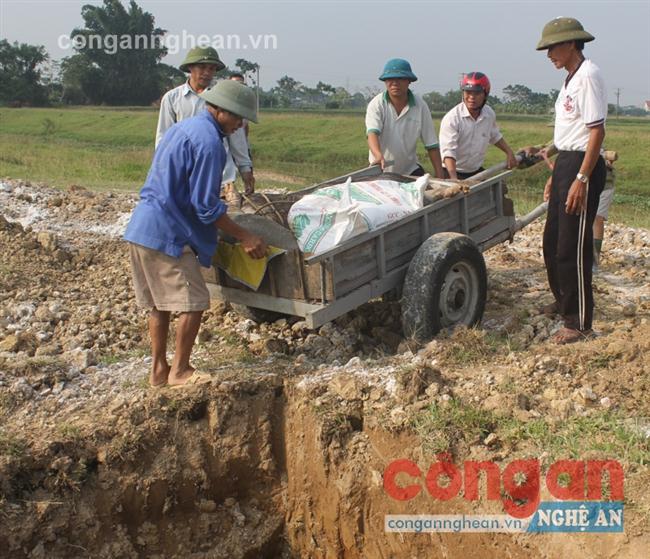Tiêu hủy gần 200 con lợn mắc bệnh tai xanh