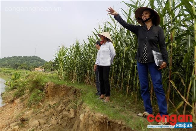 Nỗi lo sông 'nuốt' đất