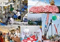 Báo cáo của Chính phủ, nhìn từ 3 vấn đề cải cách
