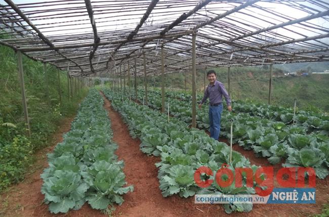 Sẽ thành lập thêm Làng Thanh niên lập nghiệp sông Chu