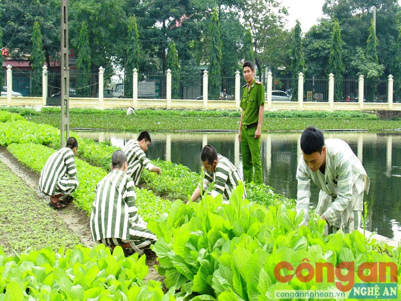 Cán bộ quản giáo Trại tạm giam hướng dẫn phạm nhân cách tăng gia sản xuất