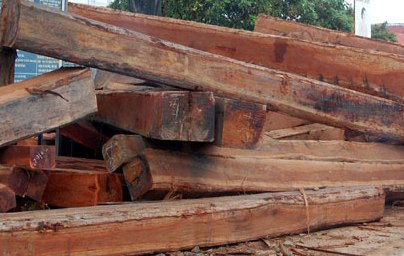 Vận chuyển lâm sản trái phép