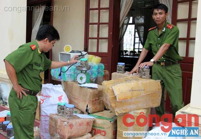  Kiểm tra lô hàng thuốc Đông y không rõ nguồn gốc, xuất xứ