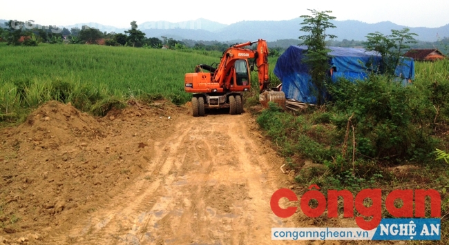 Toàn tỉnh có 67 xã về đích nông thôn mới