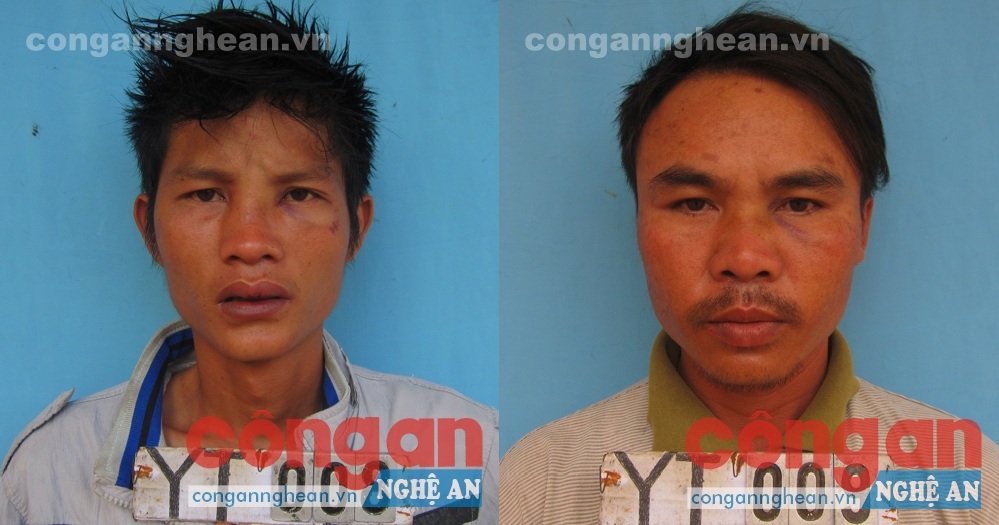 Trộm dê giữa ban ngày