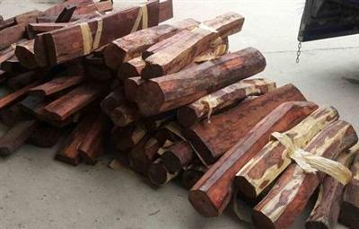 Vận chuyển 408 kg gỗ trắc không hóa đơn, chứng từ