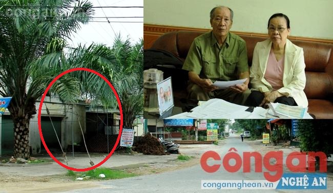 Cần thấu tình, đạt lý