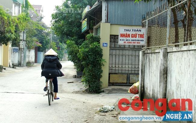 'Mầm non' không phép