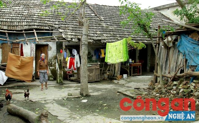 Cận cảnh khu tập thể đã xuống cấp của 3 hộ gia đình đề cập trong bài viết