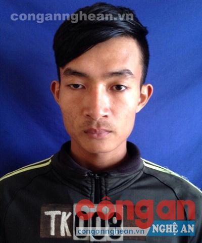 Đối tượng Trần Văn Trung