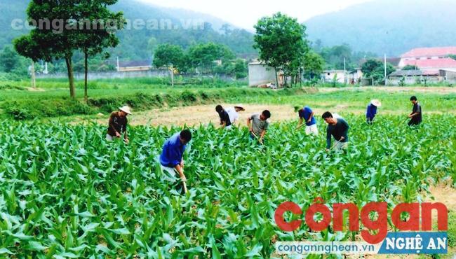 Cai nghiện tại gia đình và cộng đồng còn nhiều khó khăn
