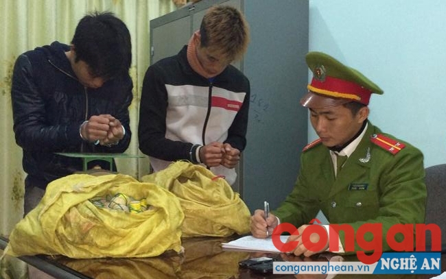 Tăng cường trấn áp tội phạm