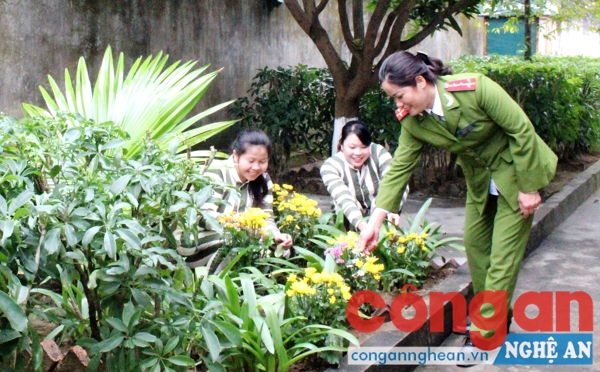 Cán bộ quản giáo cùng phạm nhân chăm sóc khuôn viên Trại Tạm giam