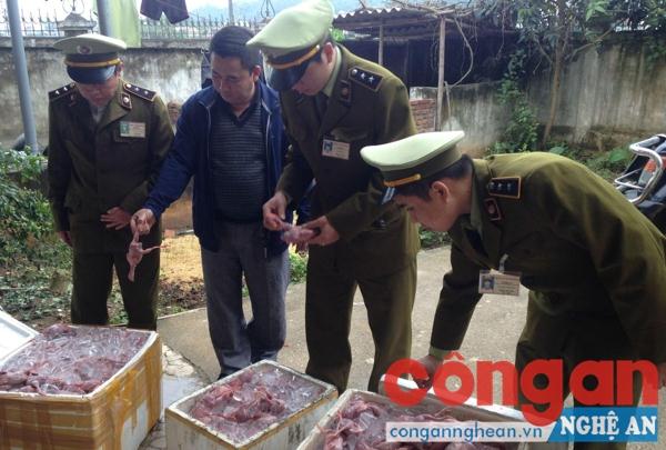 Phát hiện, xử lý gần 290 kg chim cút bốc mùi hôi thối