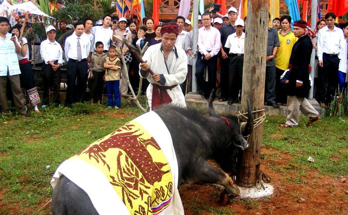 Văn hóa lễ hội đầu năm
