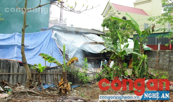 Đất tranh chấp vẫn chuyển nhượng?