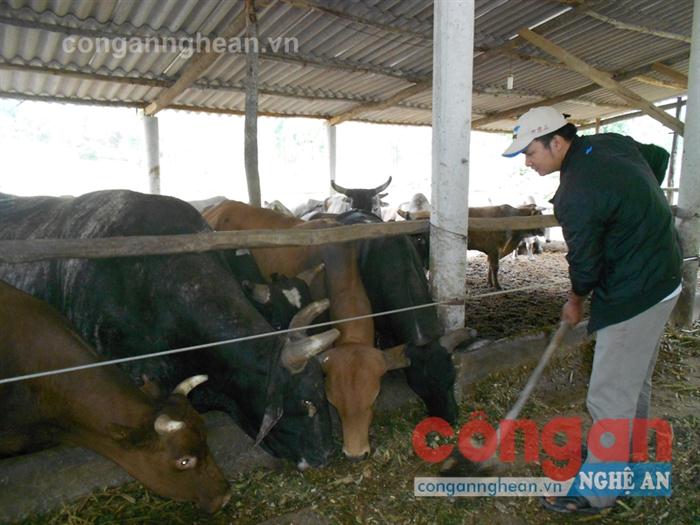 Ông chủ trẻ ở giáo họ Tân Giai