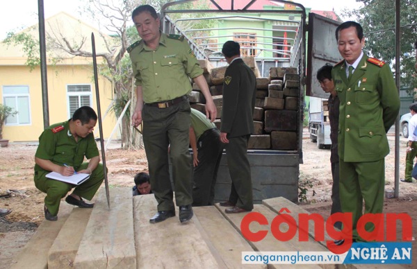Tàng trữ, kinh doanh trái phép hơn 20m3 gỗ