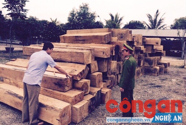 Đấu tranh quyết liệt với hành vi vi phạm pháp luật về môi trường