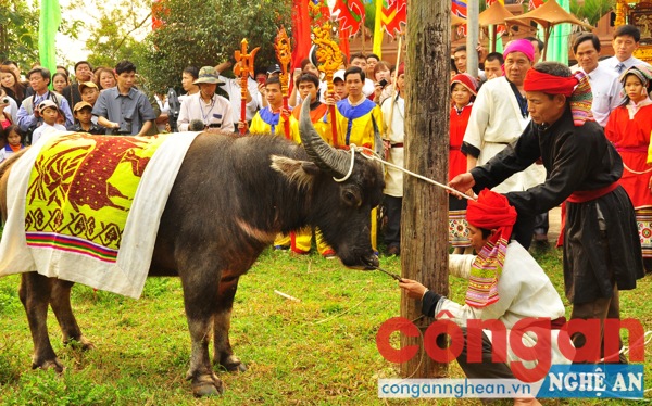 Cõi thiêng nơi 9 bản 10 mường