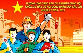 Ứng cử Quốc hội khóa XIV: Giới trẻ nghĩ gì?