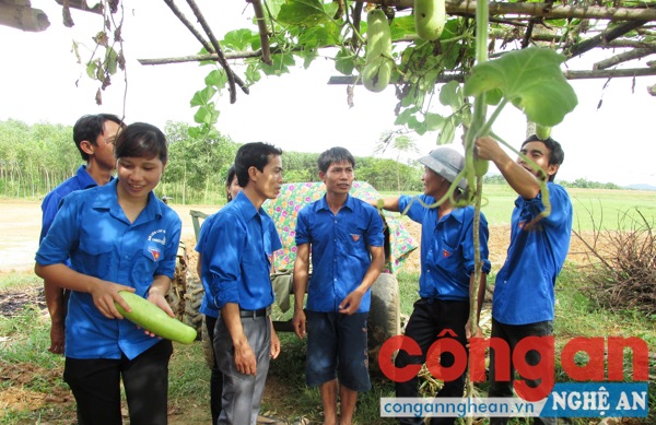 Động lực phát triển kinh tế cho ĐVTN