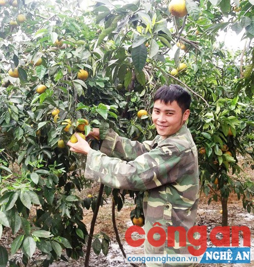 Anh Đặng Văn Tuấn, Bí thư Chi đoàn xóm Minh Cầu, xã Minh Hợp, huyện Quỳ Hợp - điển hình thanh niên làm kinh tế giỏi