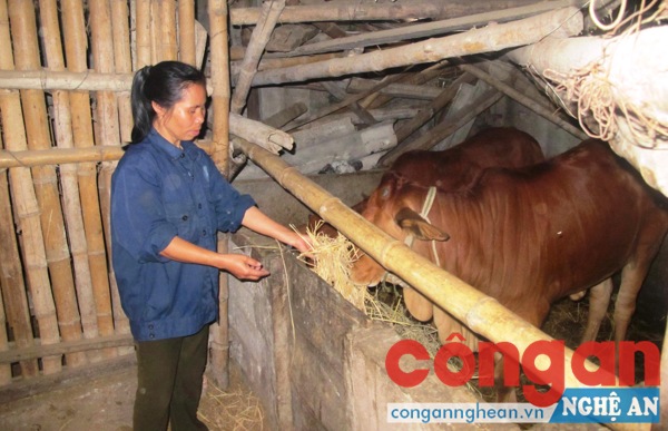 Tự nguyện rút khỏi danh sách hộ nghèo