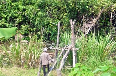 'Hú vía' qua sông trên những cây cầu 'độc'
