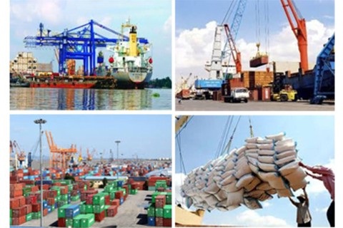 Chỉ đạo, điều hành của Chính phủ, Thủ tướng Chính phủ nổi bật tuần