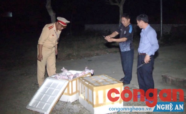 Vận chuyển 350 kg thịt mèo không rõ nguồn gốc