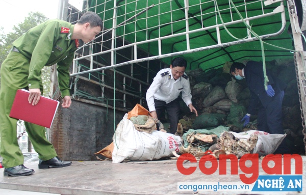 Thu giữ hơn 6 tấn xương động vật bẩn