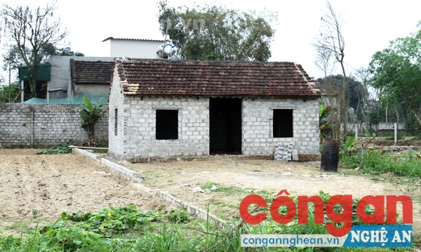 Làm nhà trái phép trên đất của người khác