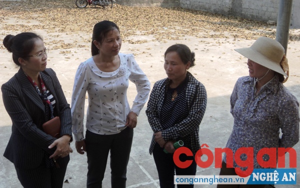 Đảm bảo bình đẳng giới và đại biểu vùng miền