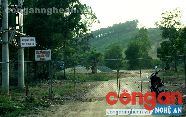 Xung quanh việc cấp phép nuôi hổ tại Vườn động vật sinh thái Hòn Nhạn