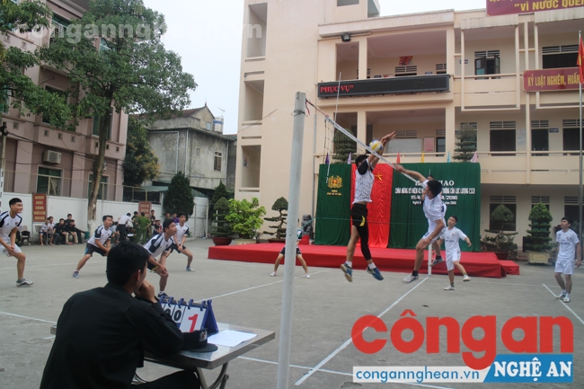 Các đội tham gia thi đấu môn bóng chuyền