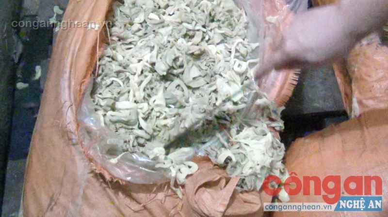Hầu hết măng bốc mùi hôi thối