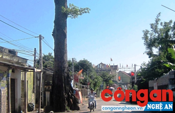Quang cảnh bình yên ở xã Diễn Kim