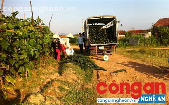 Cần sợi dây kết nối bền vững