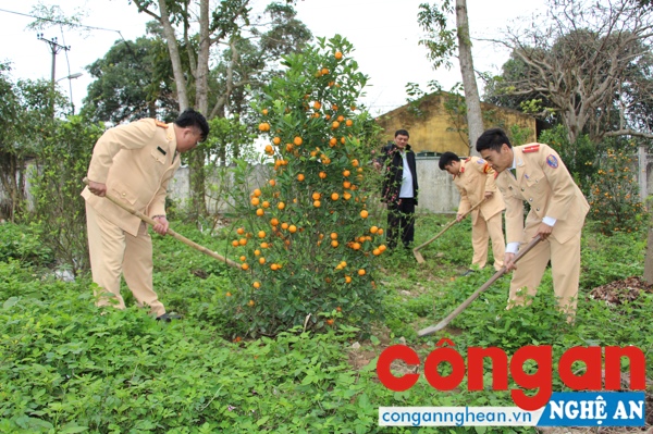 CBCS Phòng Cảnh sát Đường thủy chăm sóc cây xanh trong khuôn viên đơn vị