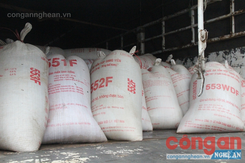 180 bao tải chứa cá bốc mùi hôi thôi