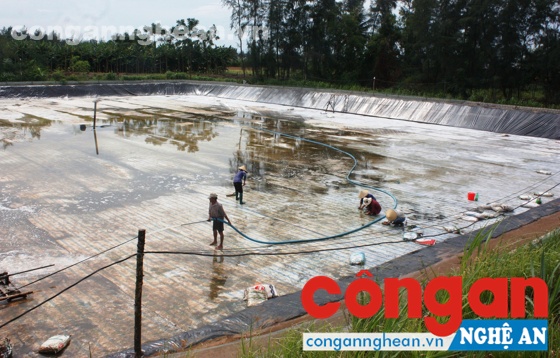 Gần 6 ha diện tích nuôi tôm bị bệnh