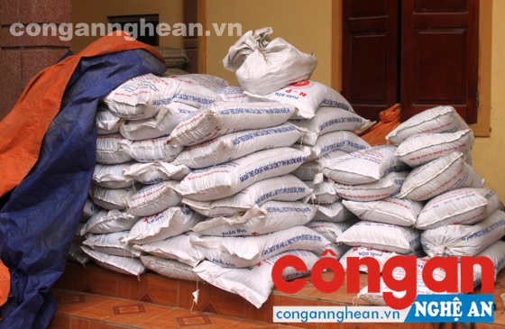 Phân bón giả, người dân gánh hậu quả thật